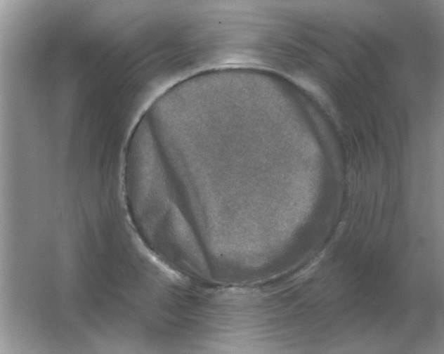 X0000063531374200602102006