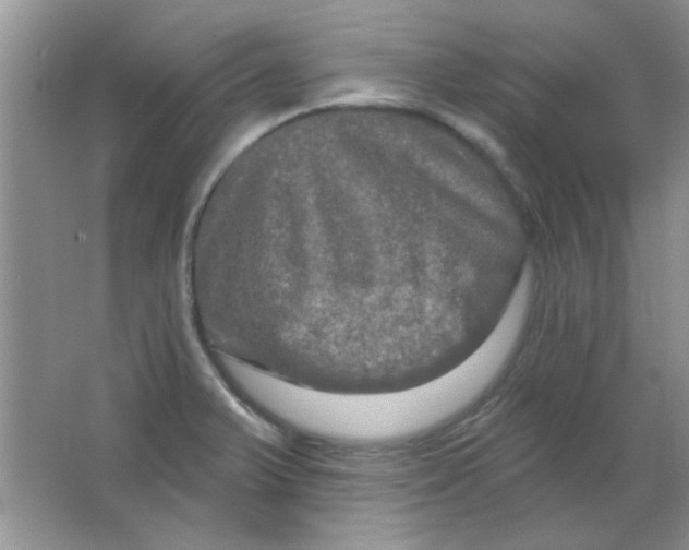 X0000063531375200602102006