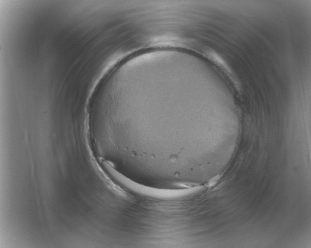 X0000063531376200602102006