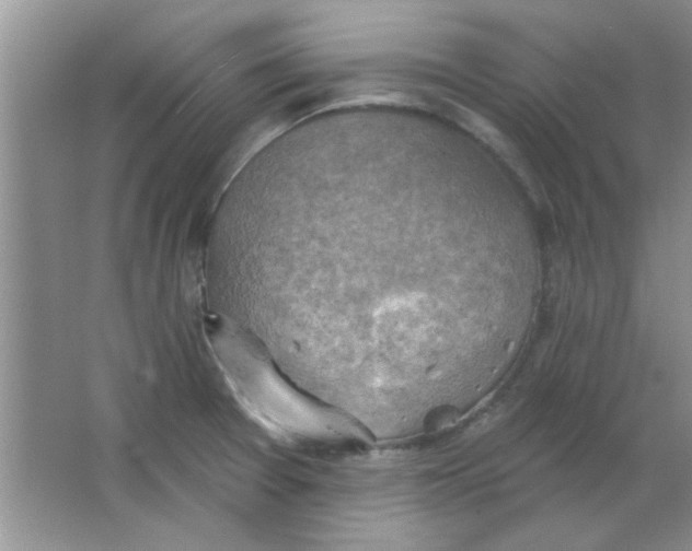 X0000063531377200602102006