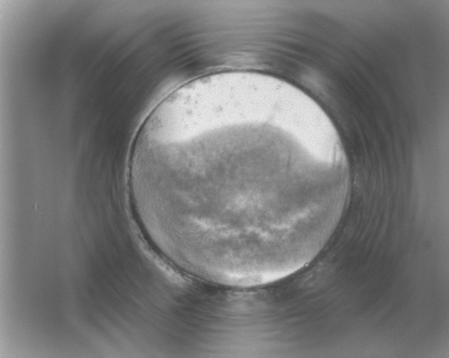 X0000063531378200602102006