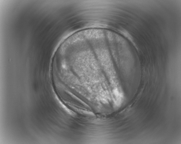 X0000063531379200602102006