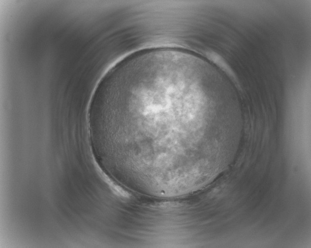 X0000063531380200602102006