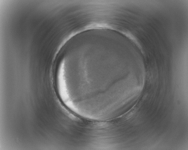 X0000063531382200602102006