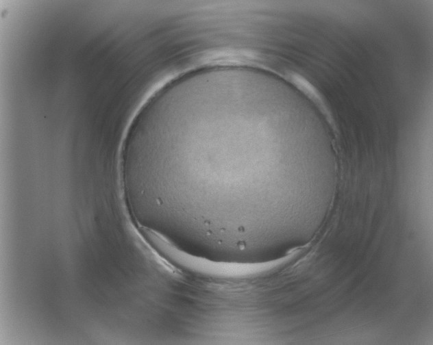 X0000063531384200602102006