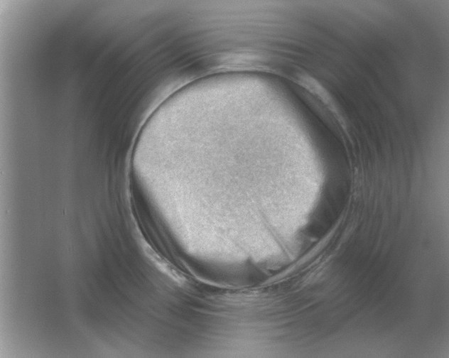 X0000063531386200602102006