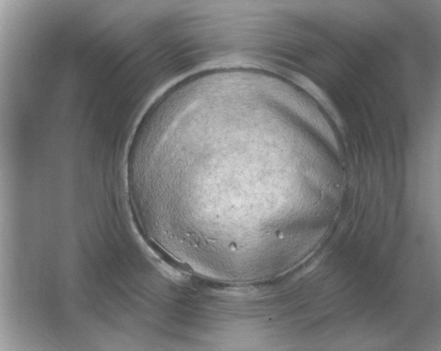 X0000063531388200602102006