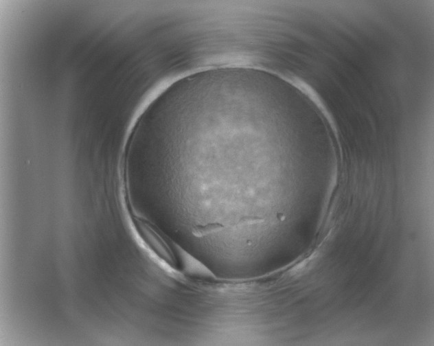 X0000063531389200602102006