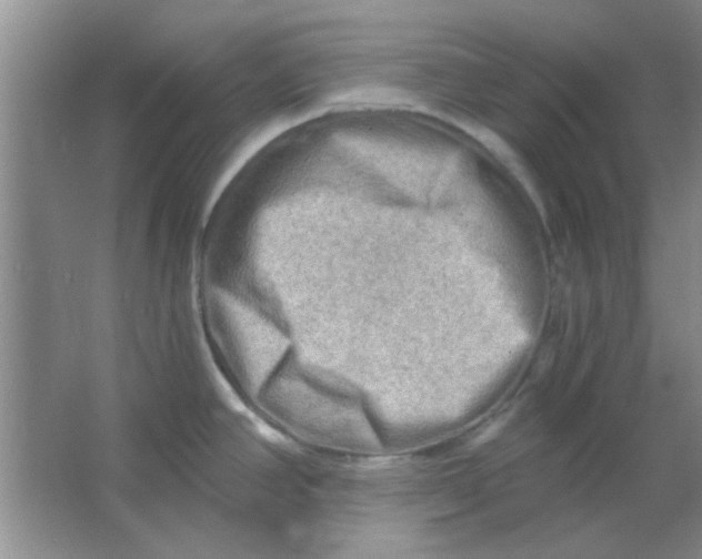 X0000063531390200602102006