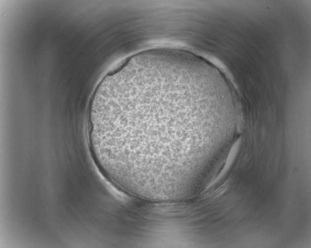 X0000063531391200602102006