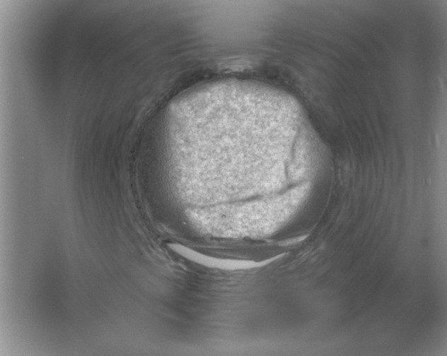 X0000063531393200602102005