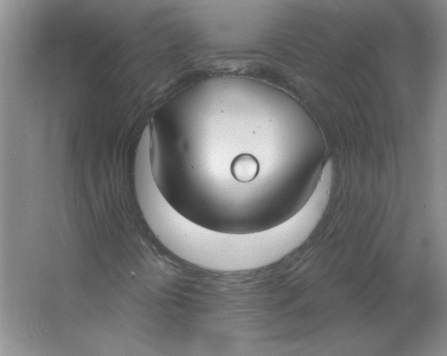 X0000063531394200602102005