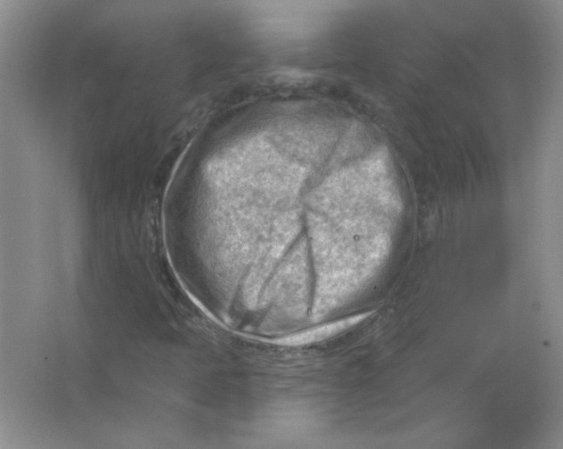 X0000063531397200602102005