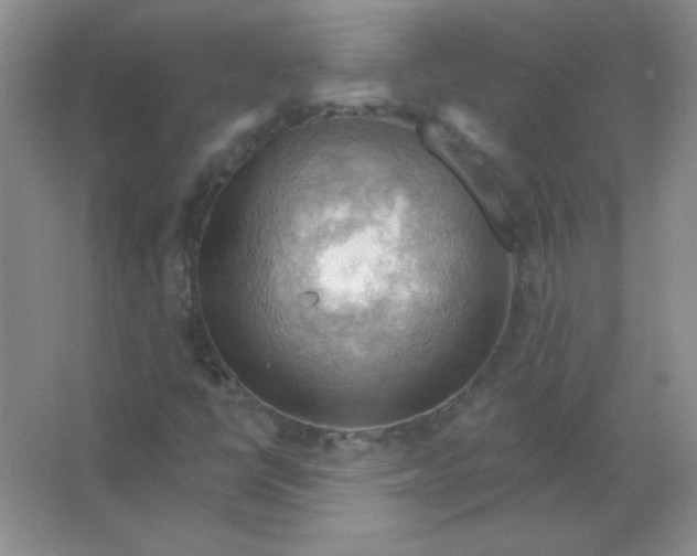 X0000063531398200602102005