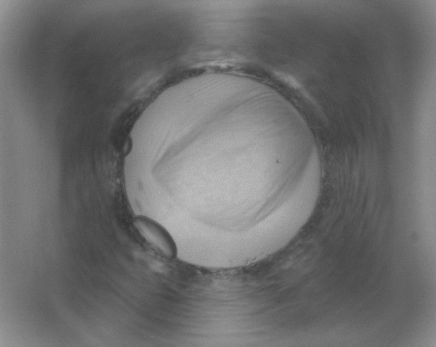 X0000063531399200602102005