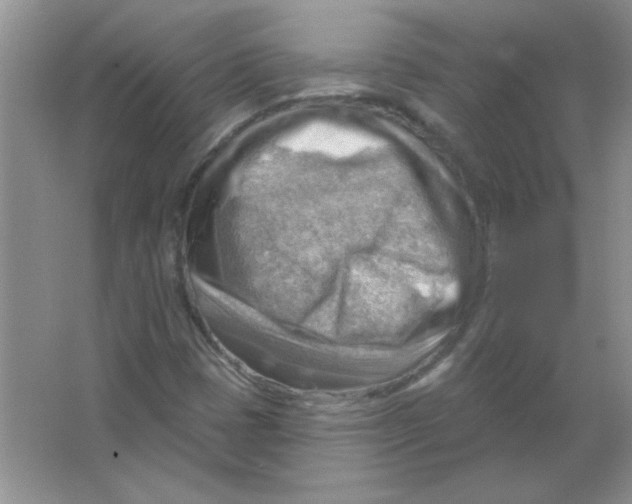 X0000063531401200602102005