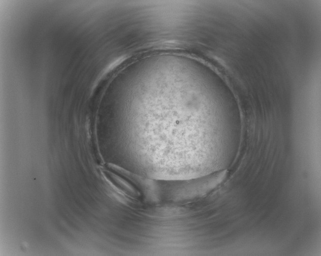 X0000063531402200602102005