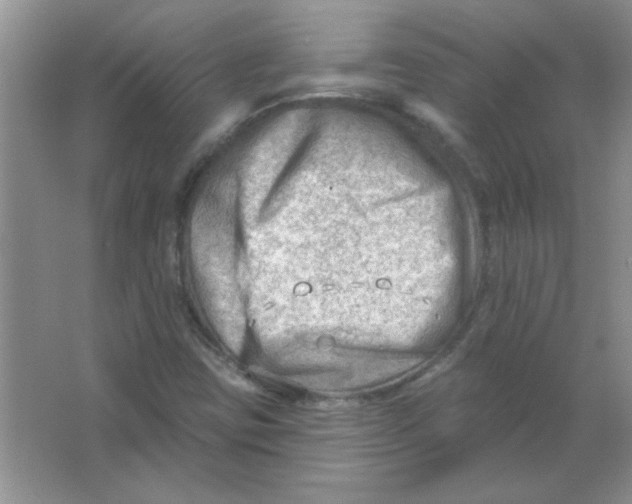 X0000063531403200602102005