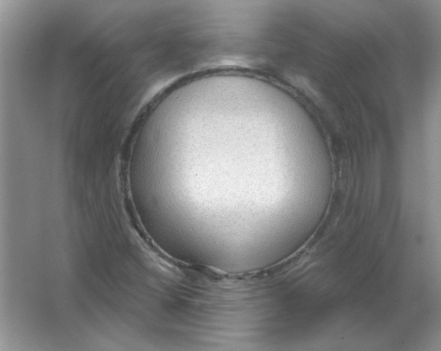 X0000063531404200602102005