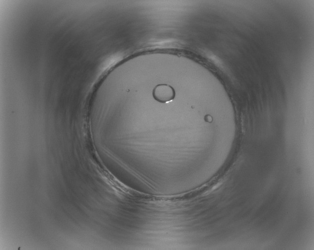 X0000063531405200602102005