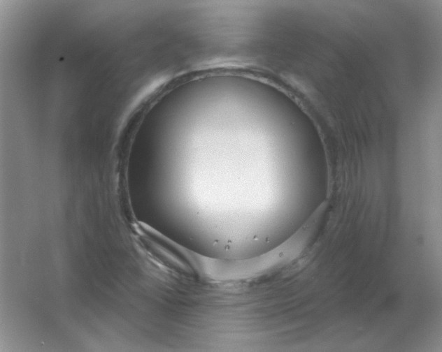 X0000063531406200602102005