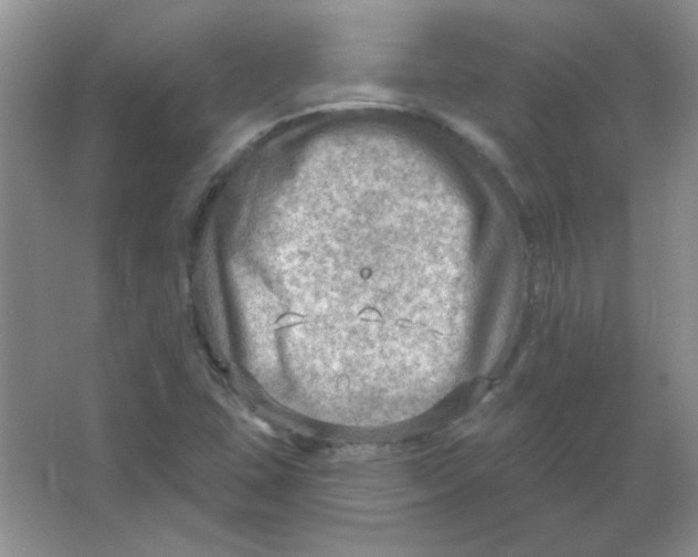 X0000063531407200602102005