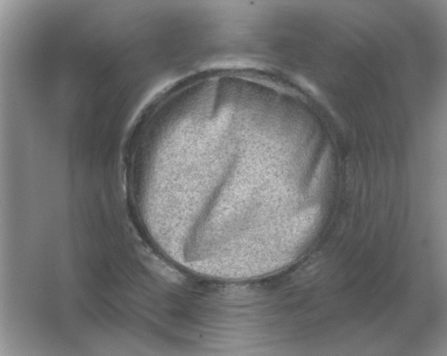 X0000063531408200602102005