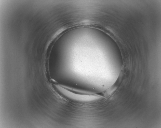 X0000063531410200602102005