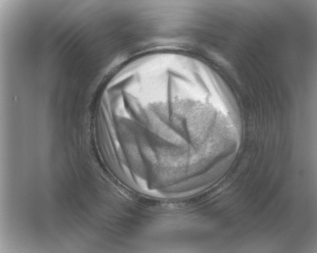 X0000063531411200602102005