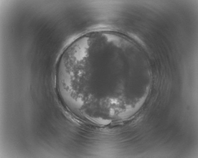 X0000063531413200602102005