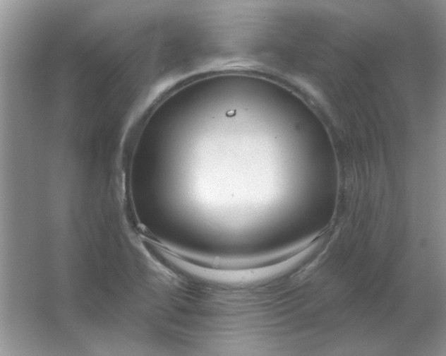 X0000063531414200602102005