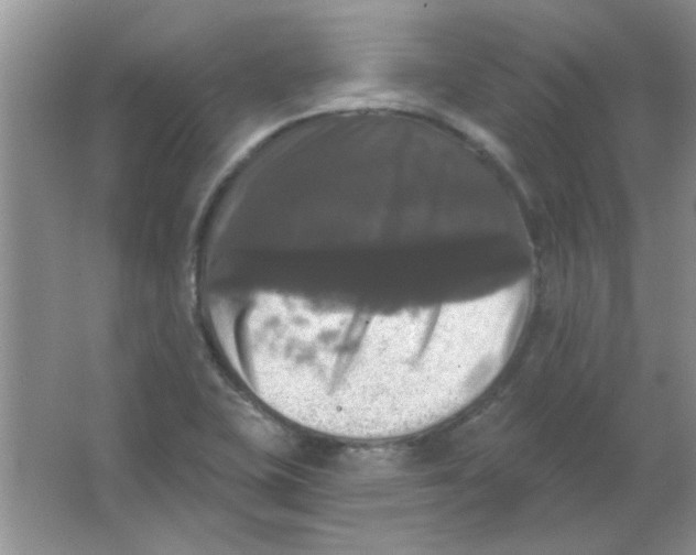 X0000063531415200602102005