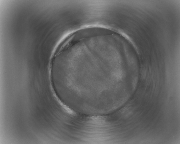 X0000063531416200602102005