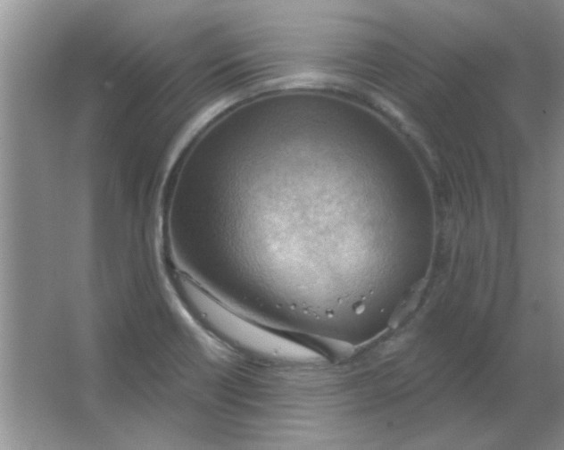 X0000063531418200602102005