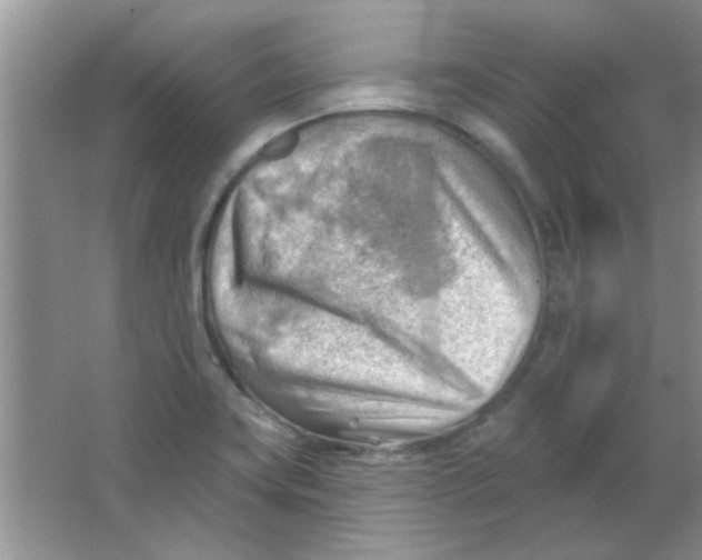 X0000063531419200602102006