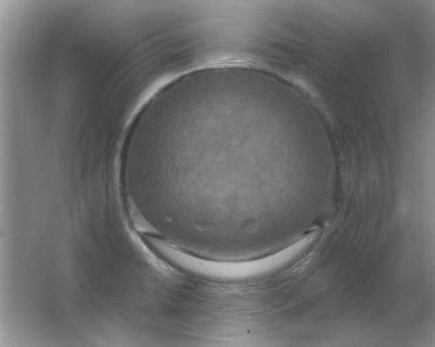 X0000063531422200602102006