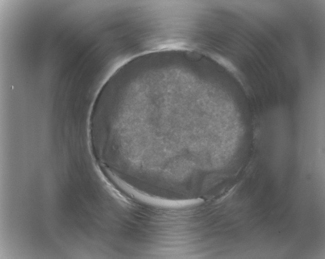 X0000063531423200602102006