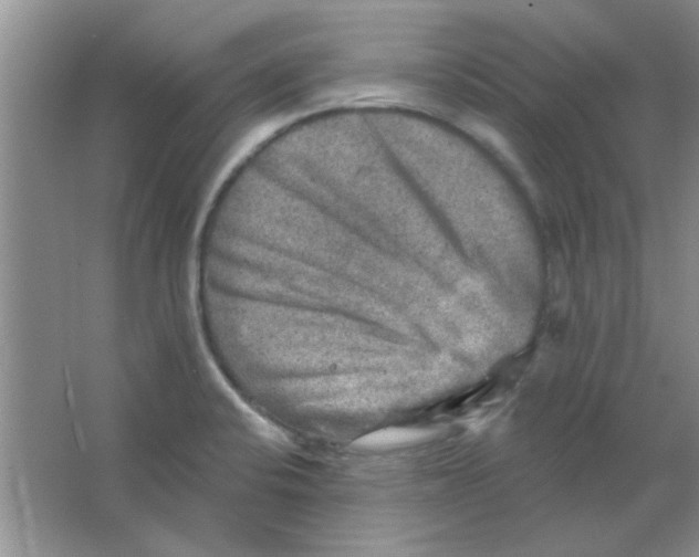 X0000063531424200602102006