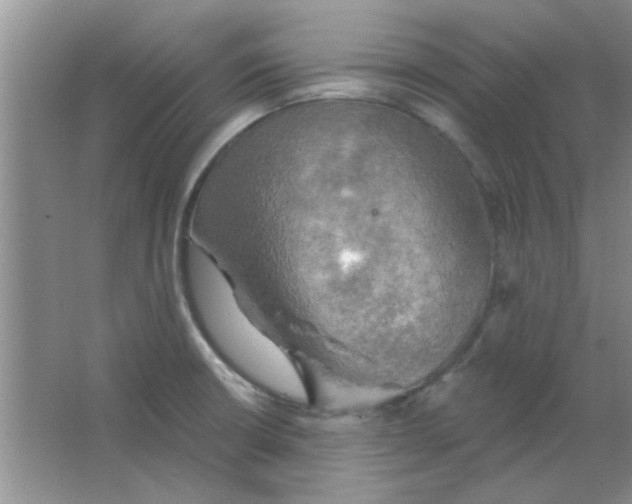 X0000063531426200602102006