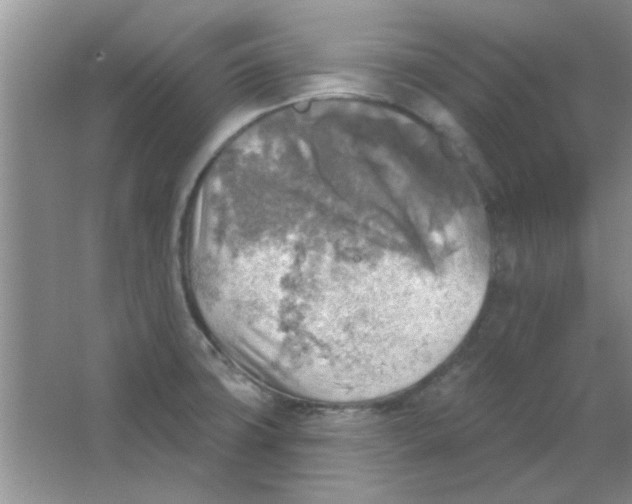 X0000063531427200602102006