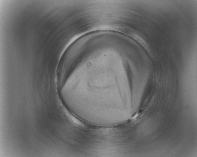 X0000063531428200602102006