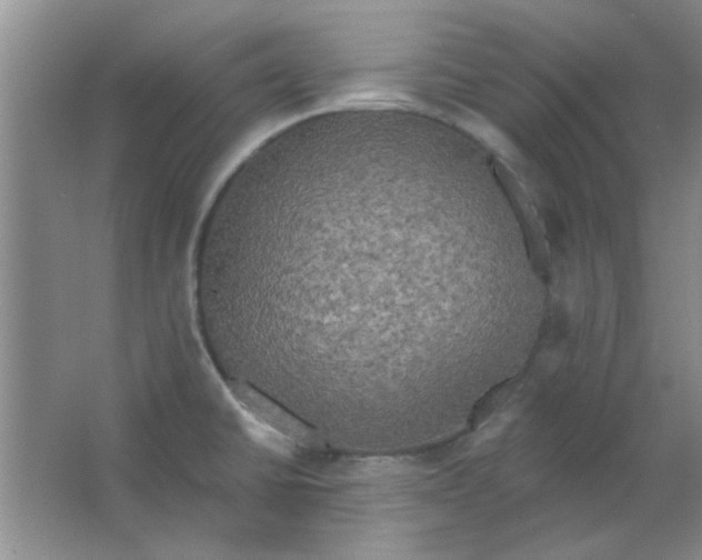 X0000063531430200602102006