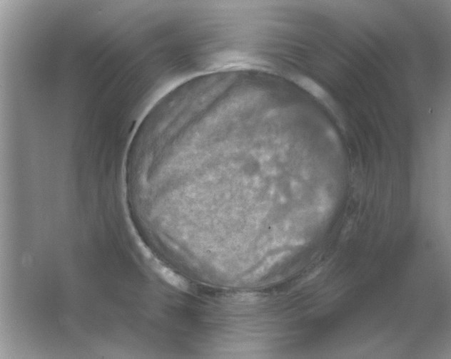 X0000063531431200602102006