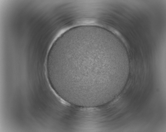 X0000063531432200602102006