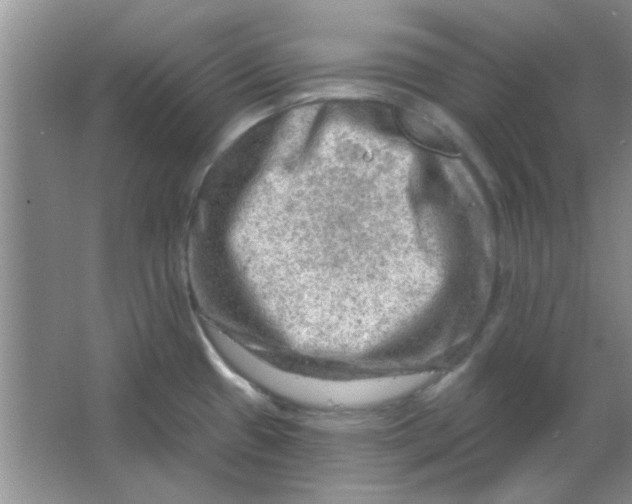 X0000063531433200602102006