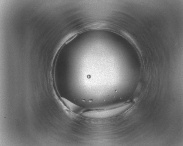 X0000063531434200602102006