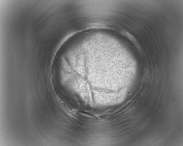 X0000063531435200602102006