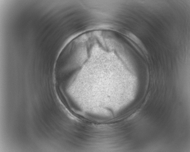 X0000063531436200602102006