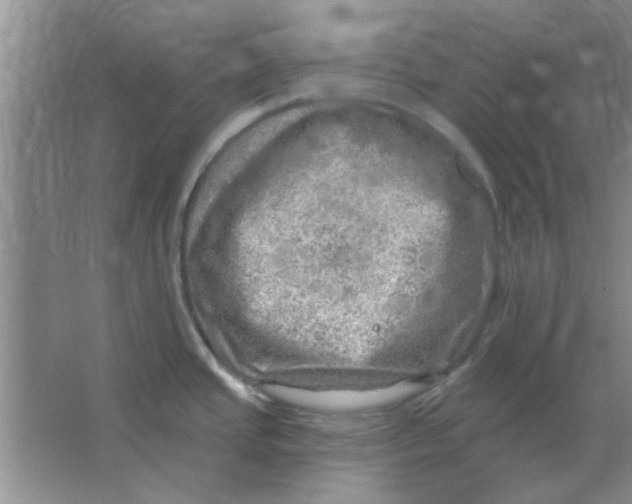 X0000063531437200602102006