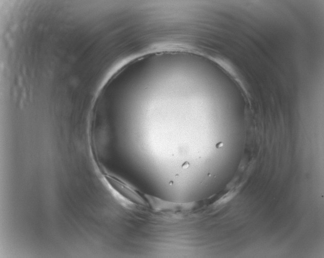 X0000063531438200602102006